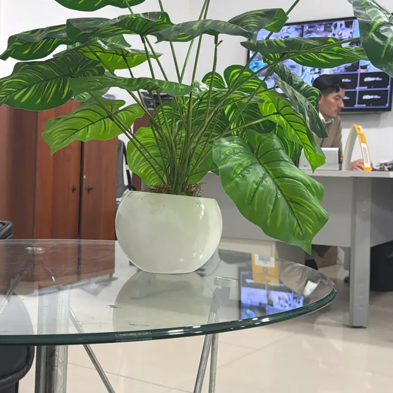 Maceta con planta bonita